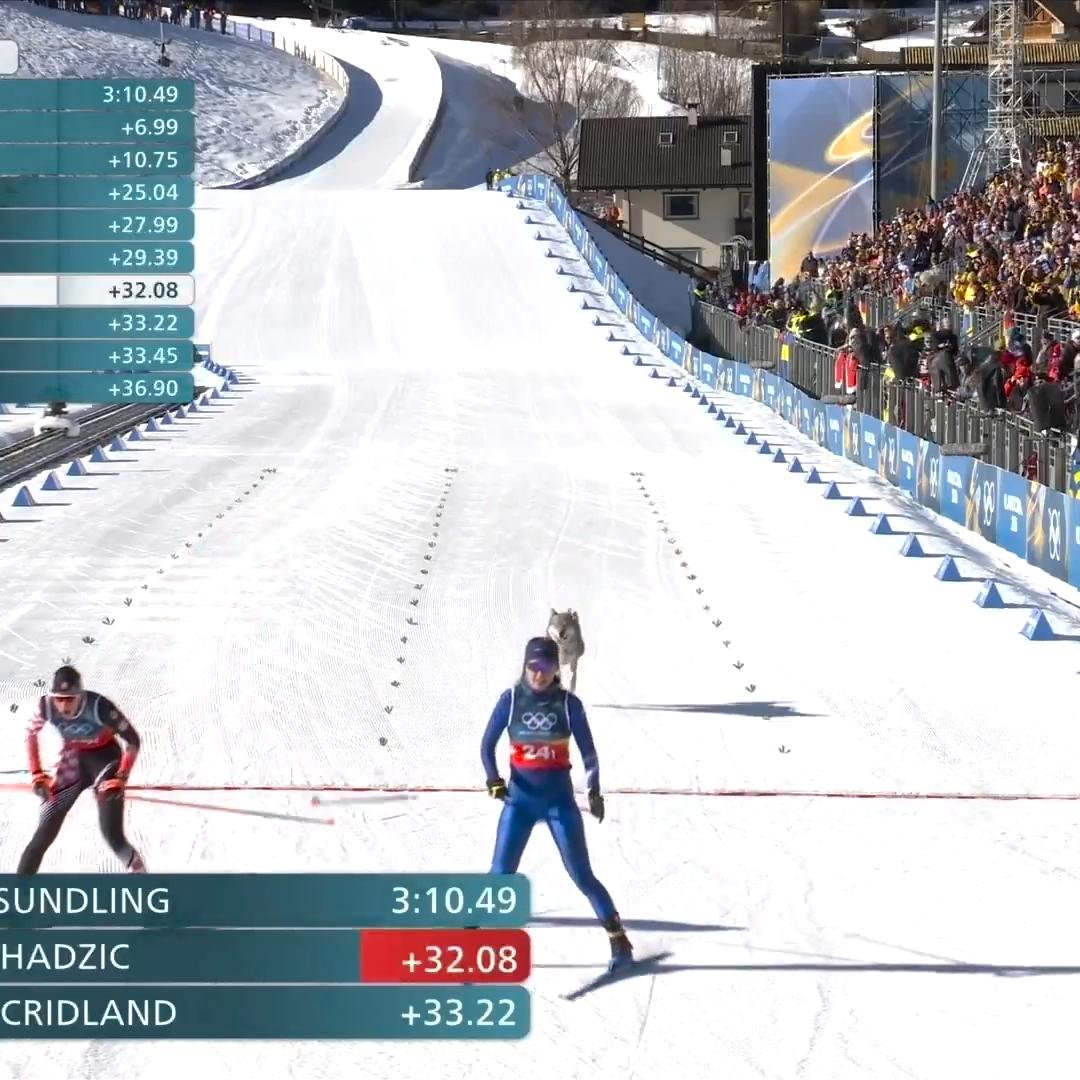 Loose dog crosses the finish line at Olympic skiing event