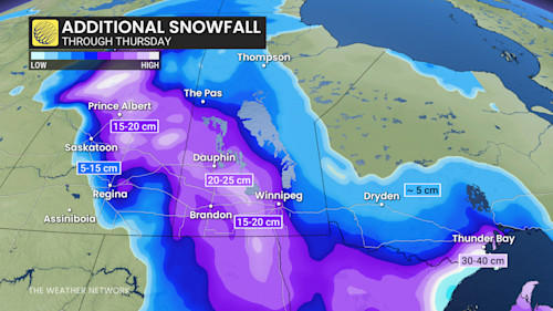 Winter storm wreaks havoc on Prairies with up to 40 cm of snow