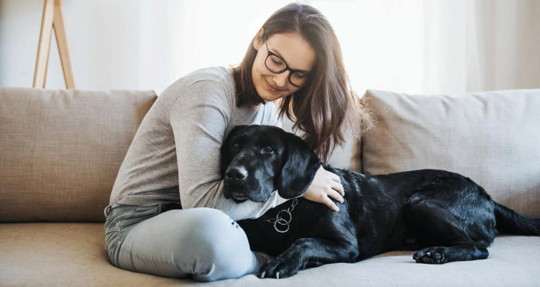 Si può avere il cane in condominio? Le regole essenziali da rispettare