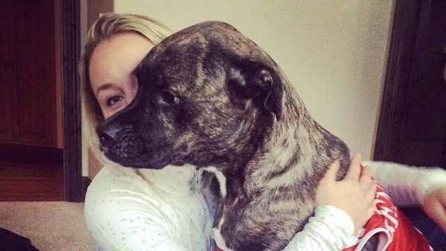 Lindsey Vonn posts heartfelt goodbye to her dog Leo<br><br>