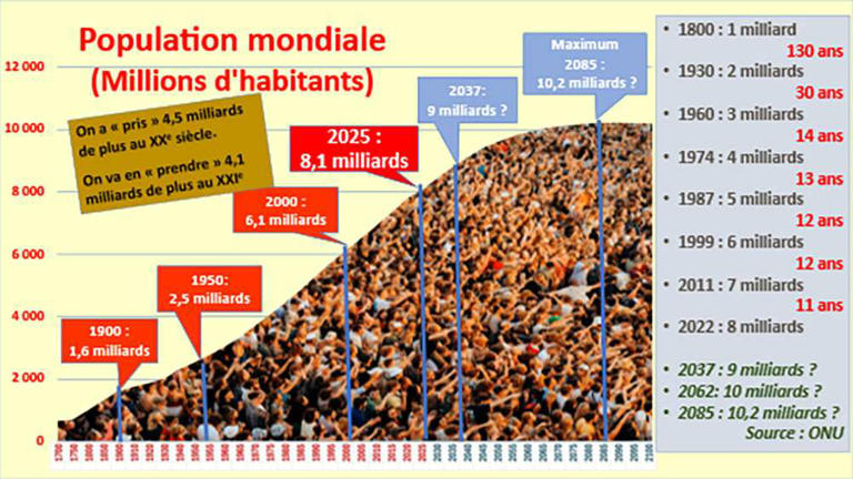 Le monde pourra-t-il nourrir 10 milliards d’humains sans s’effondrer