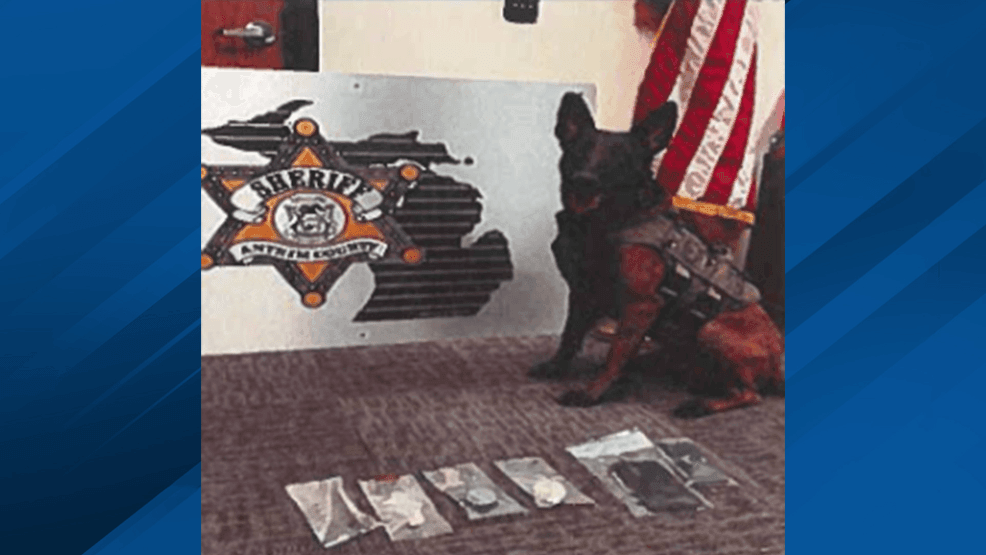 Traffic stop on US-131 leads to meth, suspected fentanyl bust and drug ...