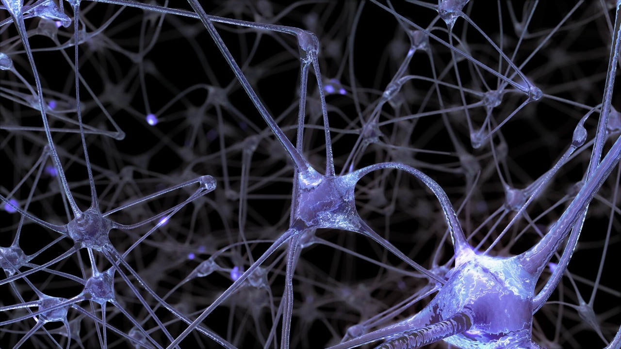 Scientists found the hidden switch fueling alzheimer’s brain inflammation - ScienceDaily