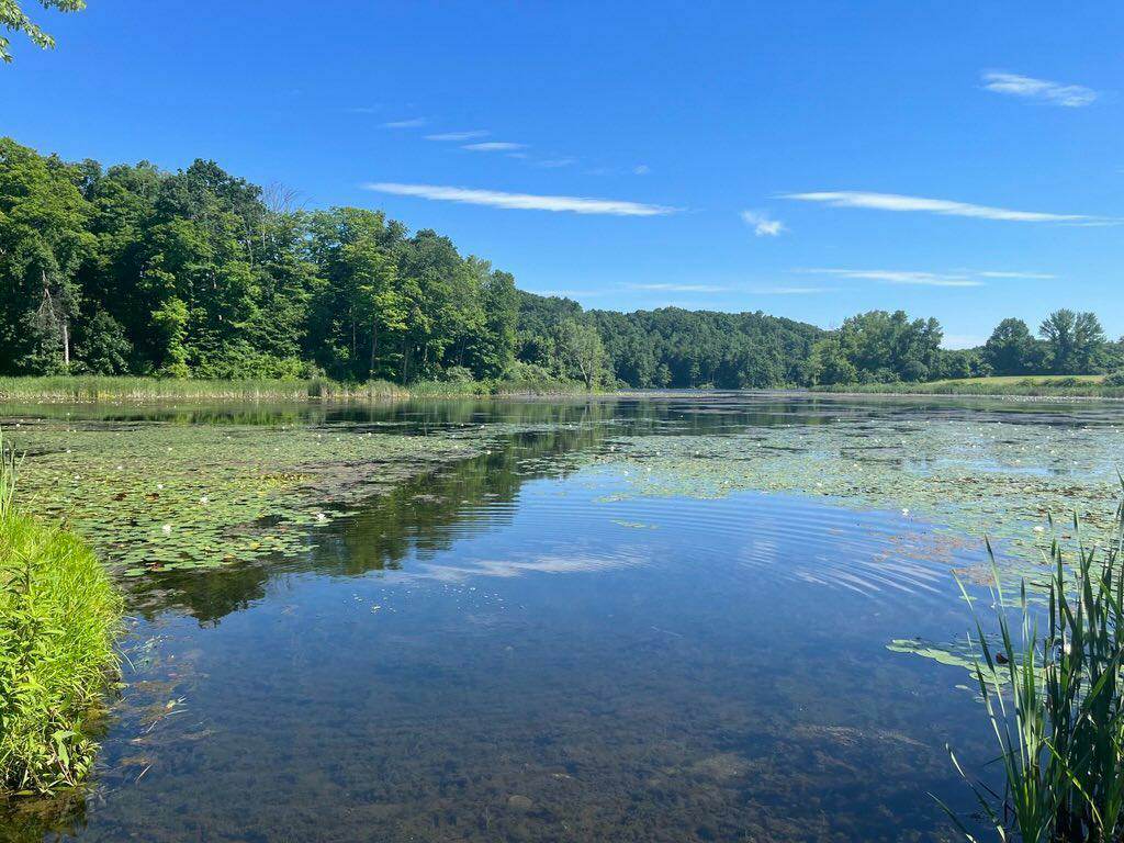 Want to get the family outside? 5 spots with kid-friendly hikes in NJ