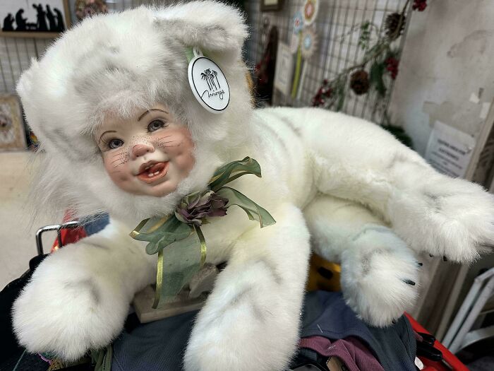 People are sharing the wackiest things they spotted at a thrift store ...