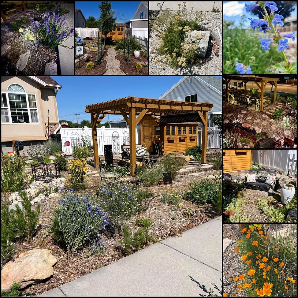 Homeowner stuns with before-and-after photos of lawn transformation ...