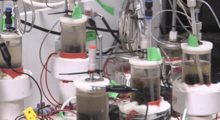 Pee power: McGill researchers harnessing human urine for clean energy