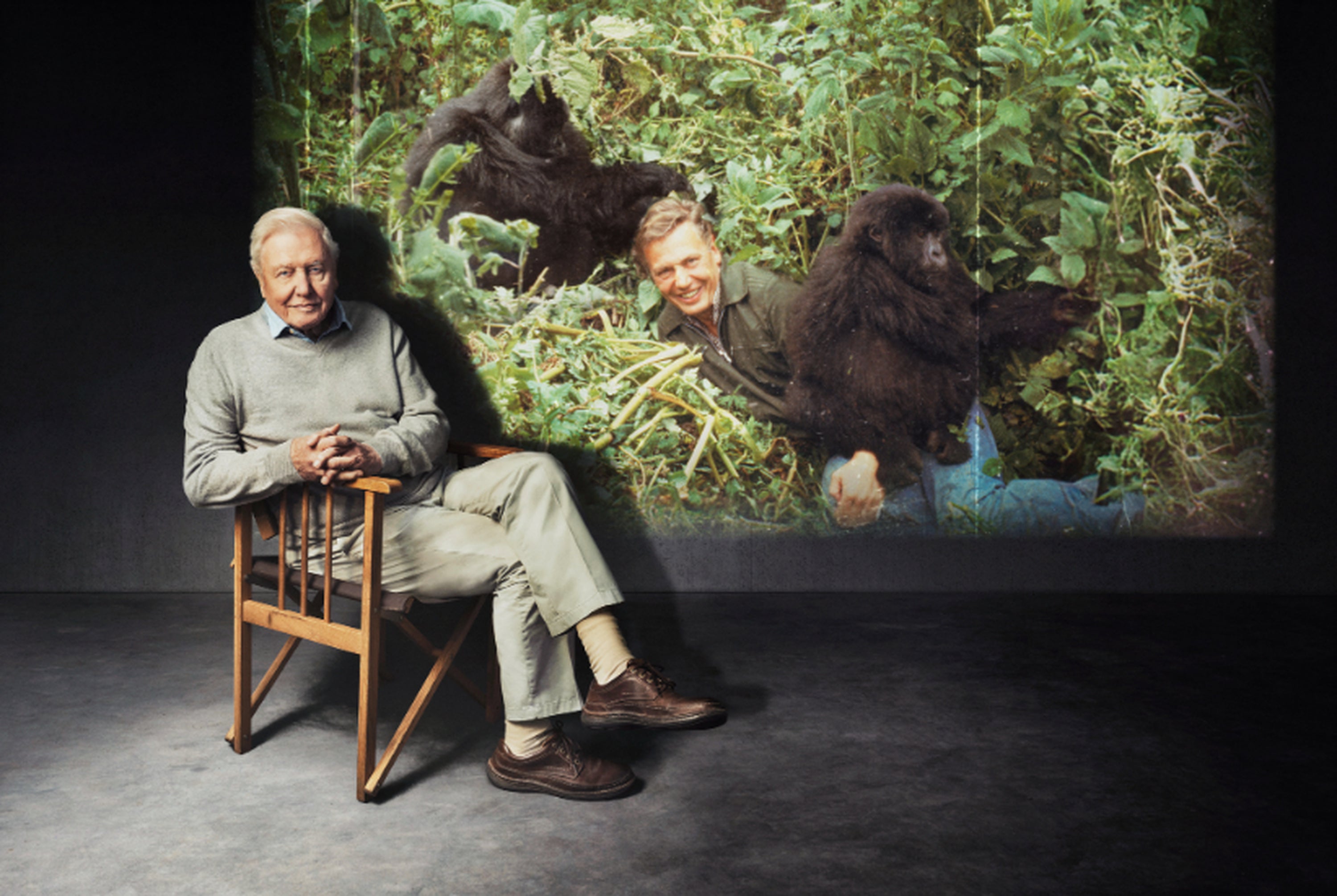 David Attenborough’s birthday to be honoured with three BBC shows