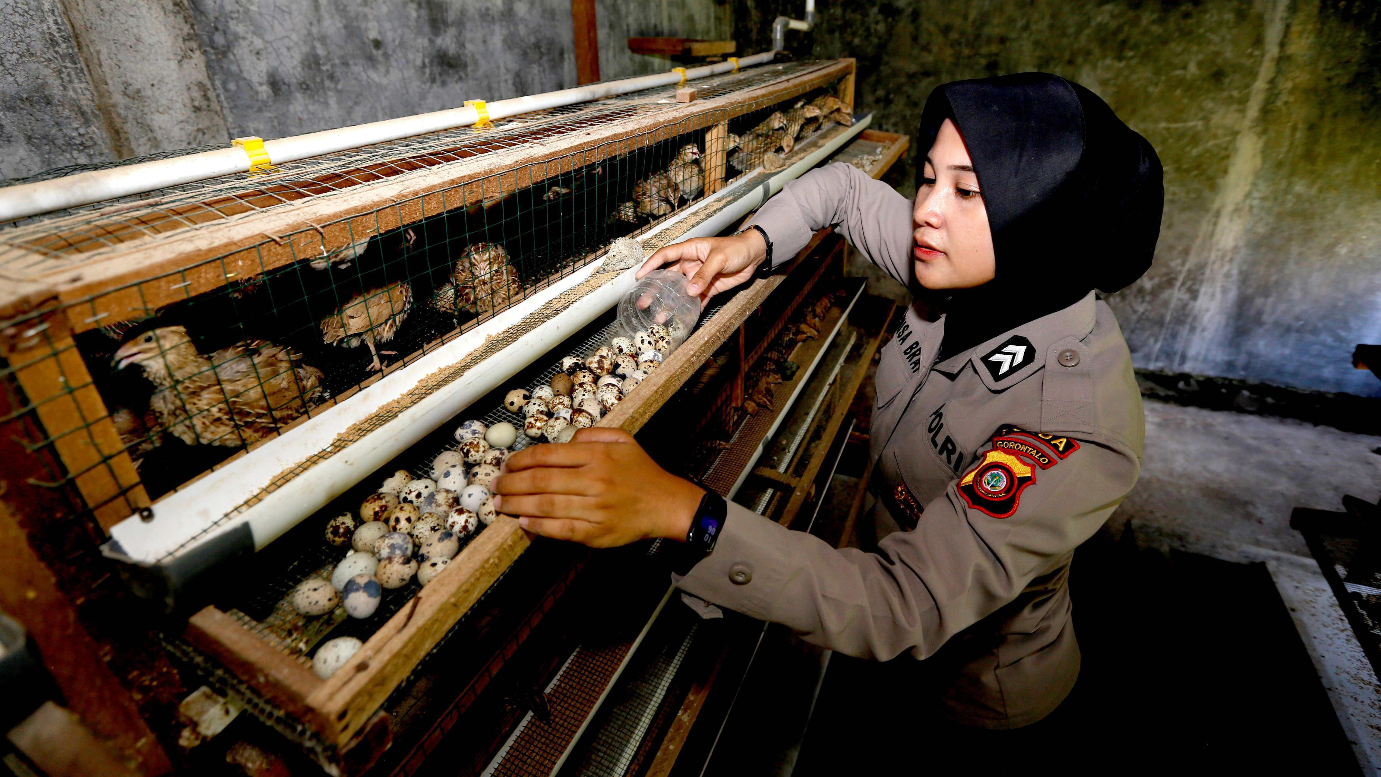 Ilustrasi SPPG Polri