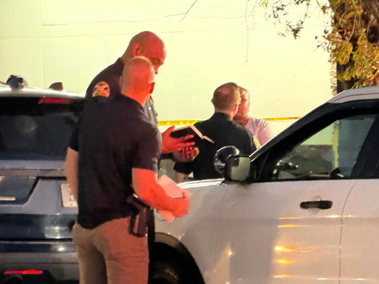 Man arrested in St. Pete attempted murder was previously subject of ...