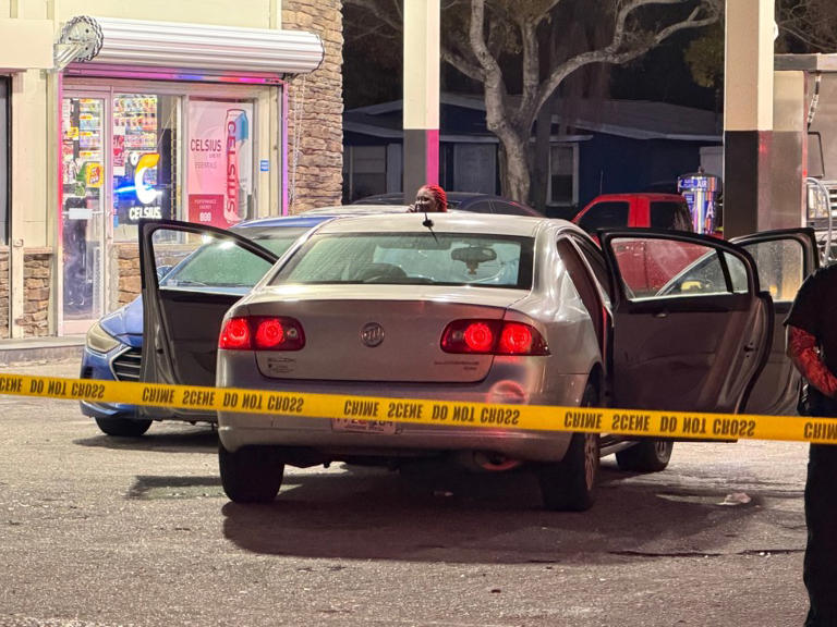 Man arrested in St. Pete attempted murder was previously subject of ...