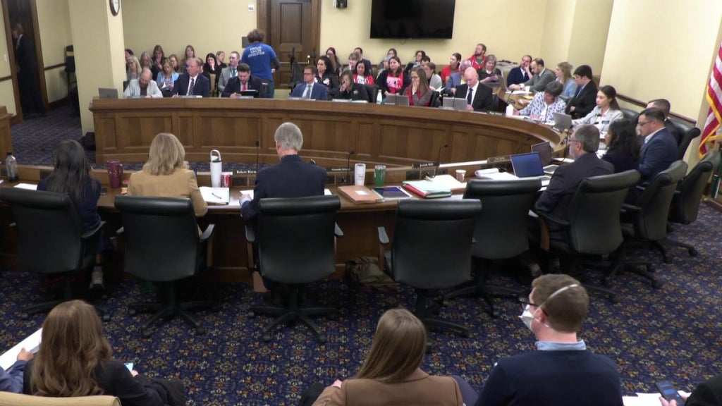 Minnesota lawmakers discuss bills related to impacts of immigration ...