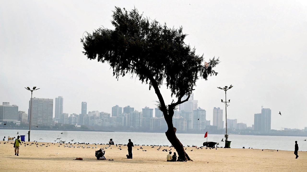 BMC rolls out citywide road washing to curb construction dust in Mumbai