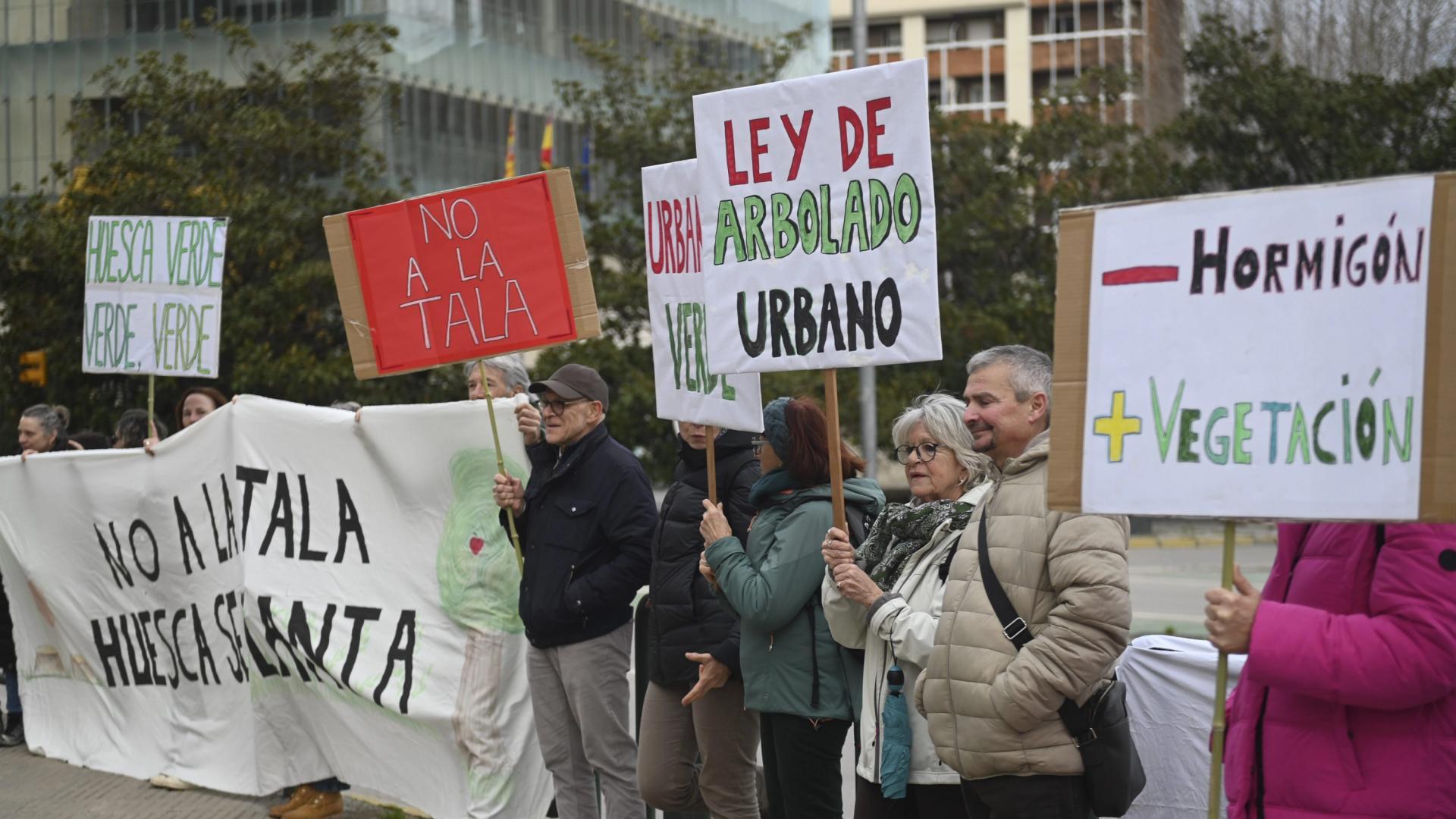 Protesta en Huesca por temor a la tala de más árboles con las obras de ...