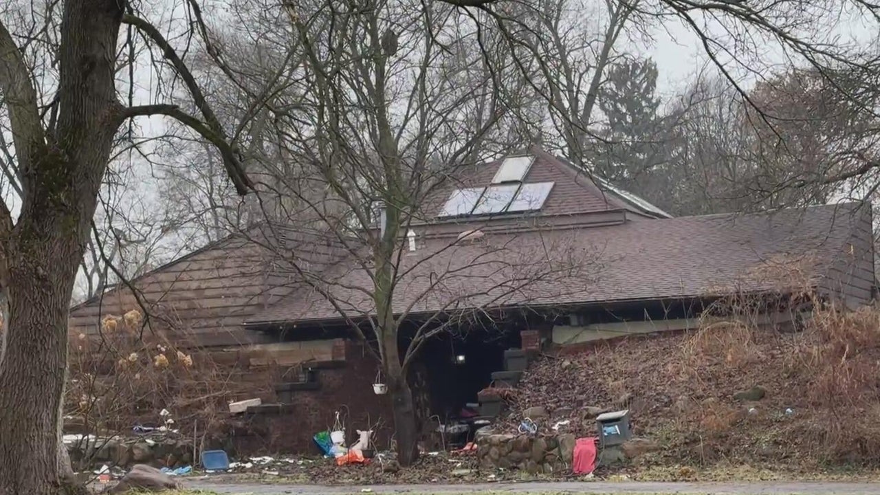 Over 60 animals rescued from Michigan home