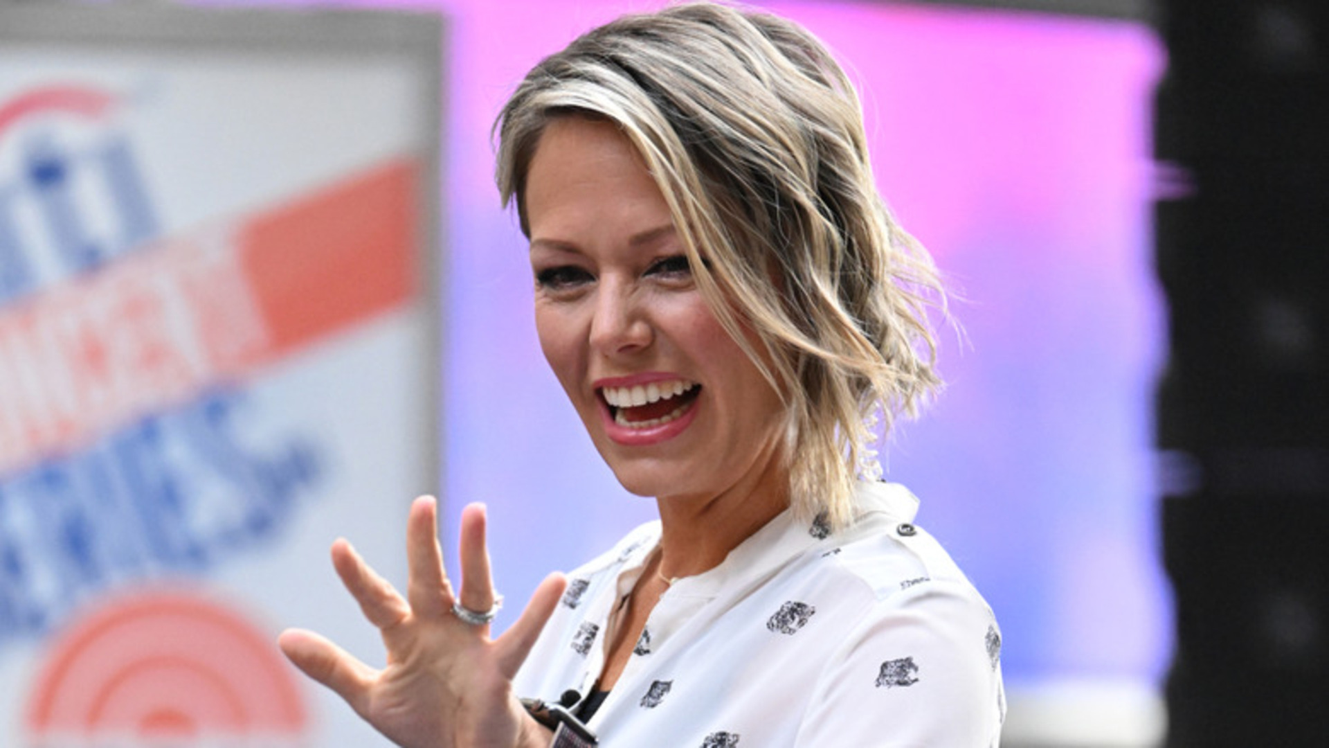 Dylan Dreyer outfits that were questionable for morning television