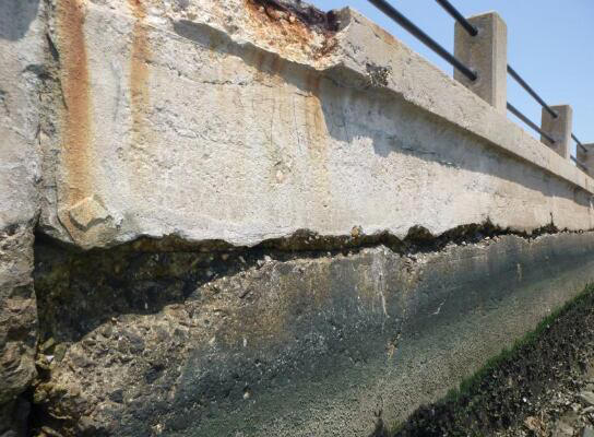 Charleston celebrates completion of Low Battery Seawall Repair Project