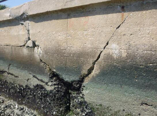 Charleston celebrates completion of Low Battery Seawall Repair Project