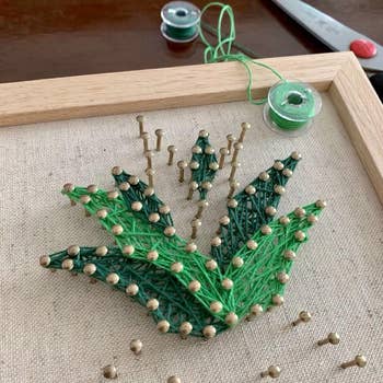 String art depicting a plant with green thread wrapped around nails on fabric, with green thread spools nearby