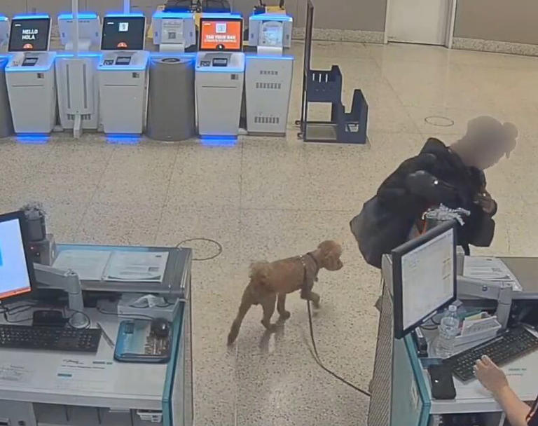 Woman arrested after abandoning dog at Harry Reid International Airport