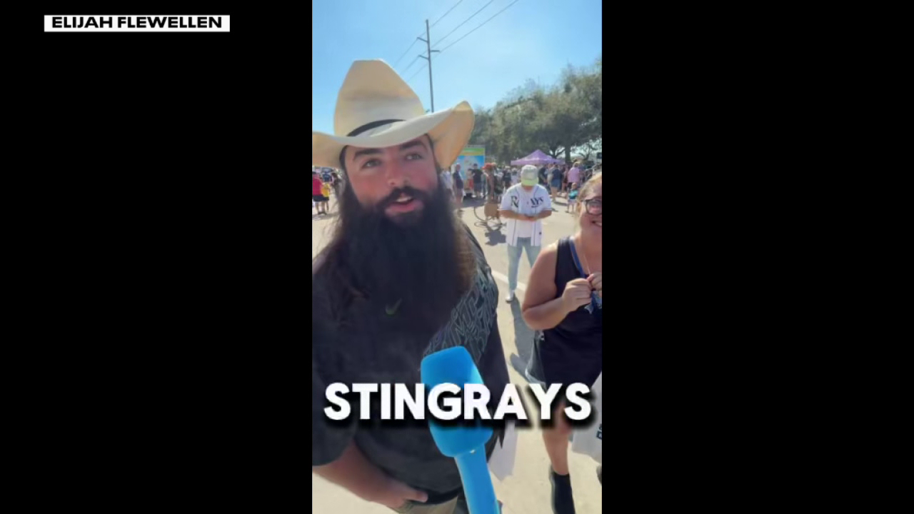 Rays fans embracing new ownership group