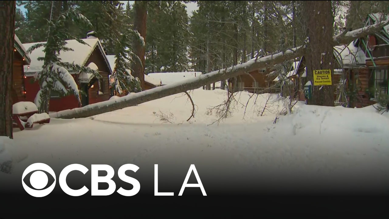 Heavy snow topples trees, power lines in Big Bear