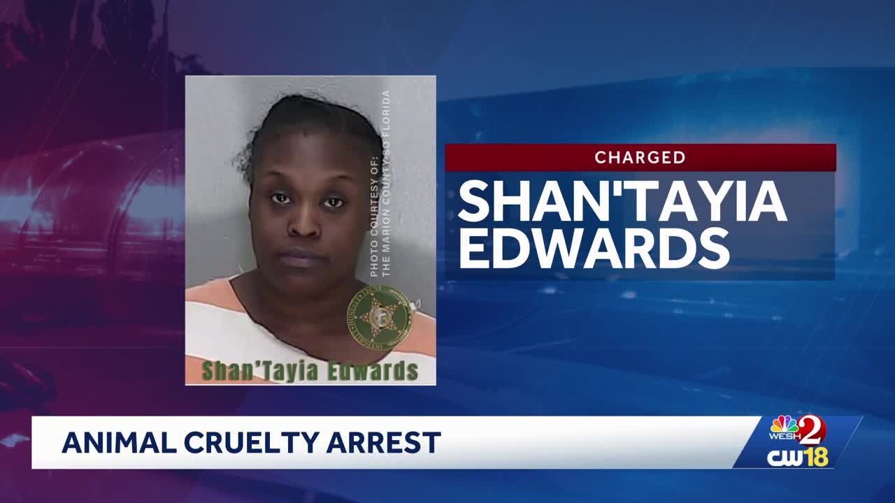 Florida woman accused of abandoning dogs for out of state job interview
