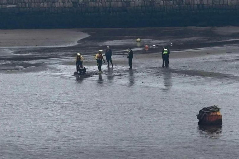 Major rescue on Whitby beach as woman gets stuck in the mud