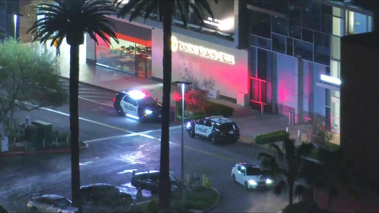 Man killed after shots fired outside Culver City mall was robbery ...