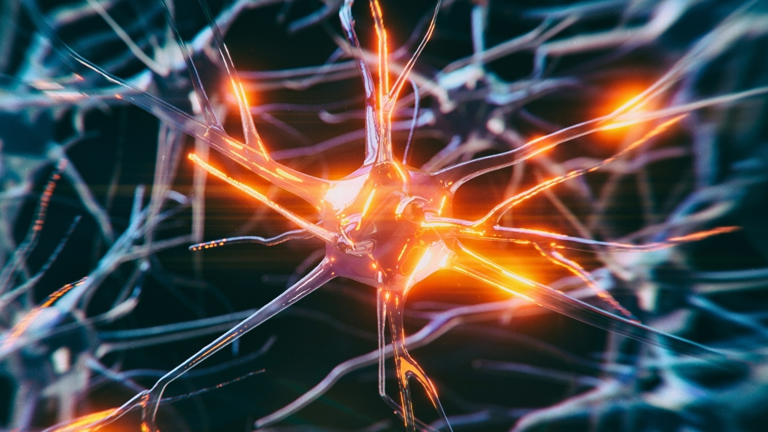 Some brain cells resist dementia, and scientists finally know why