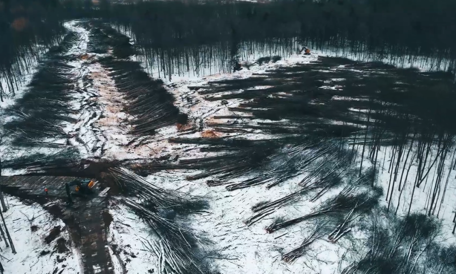 Micron on track to meet deadline for tree-clearing work at Clay site