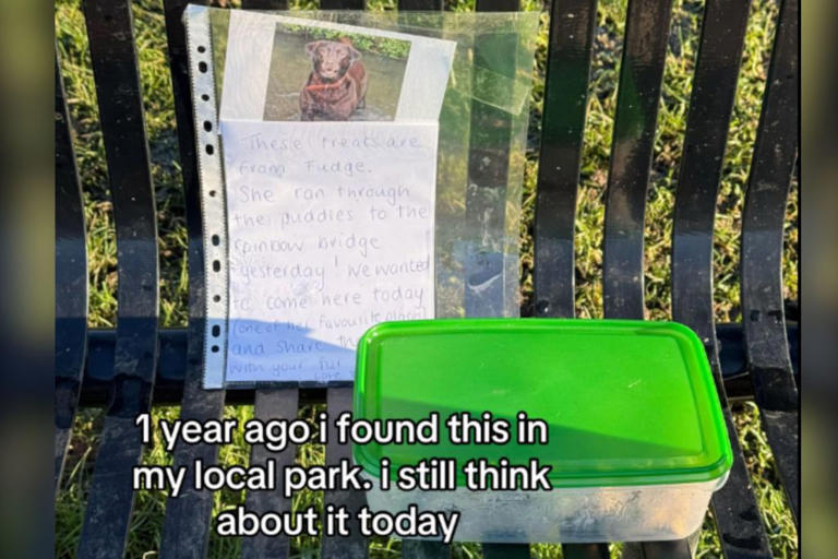Man finds free dog treats on park bench—tears at attached note