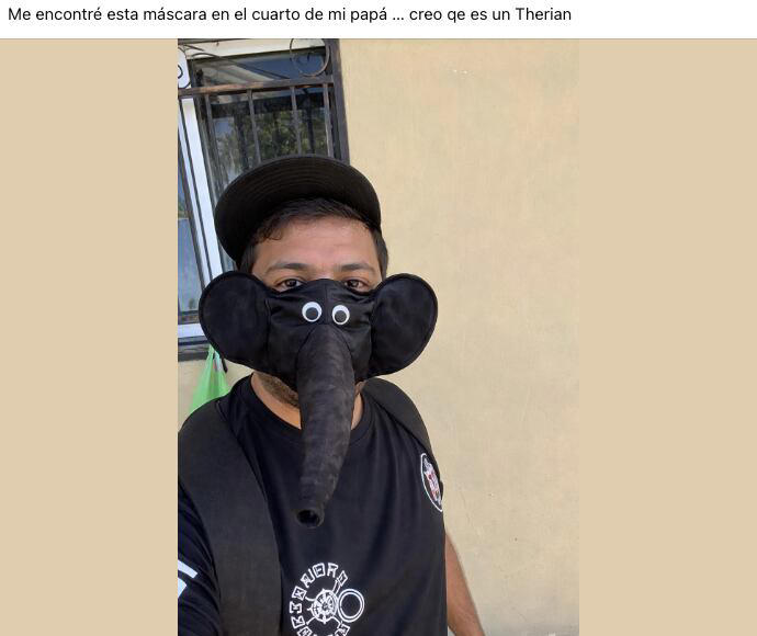 Los memes sobre los “therian” inundan las redes: quiénes son y por qué ...