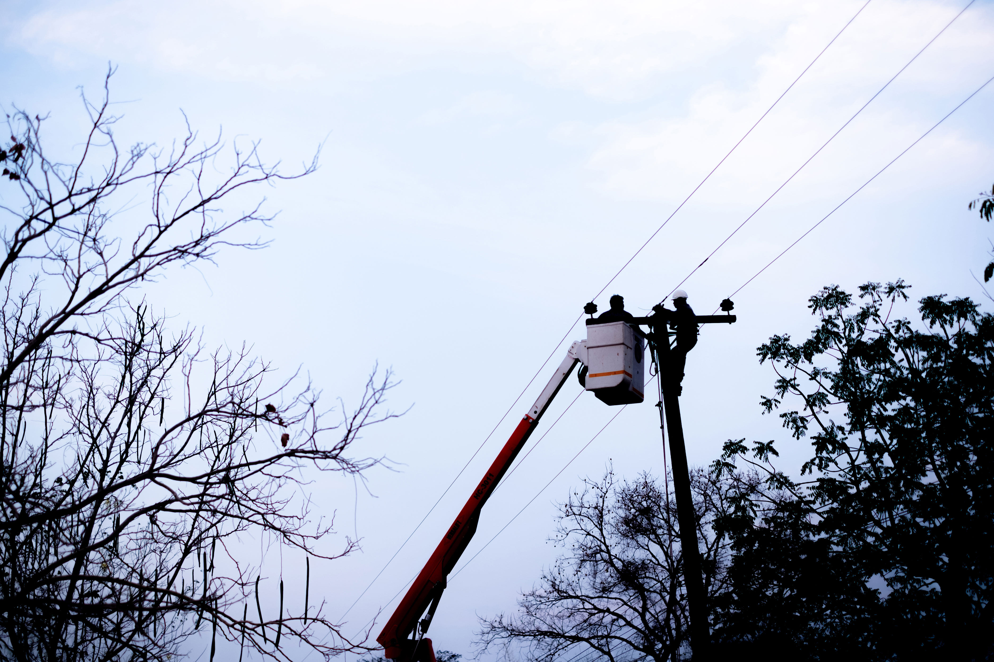 Horror over who woman realizes is stuck on power-line pole for 3 days<br>