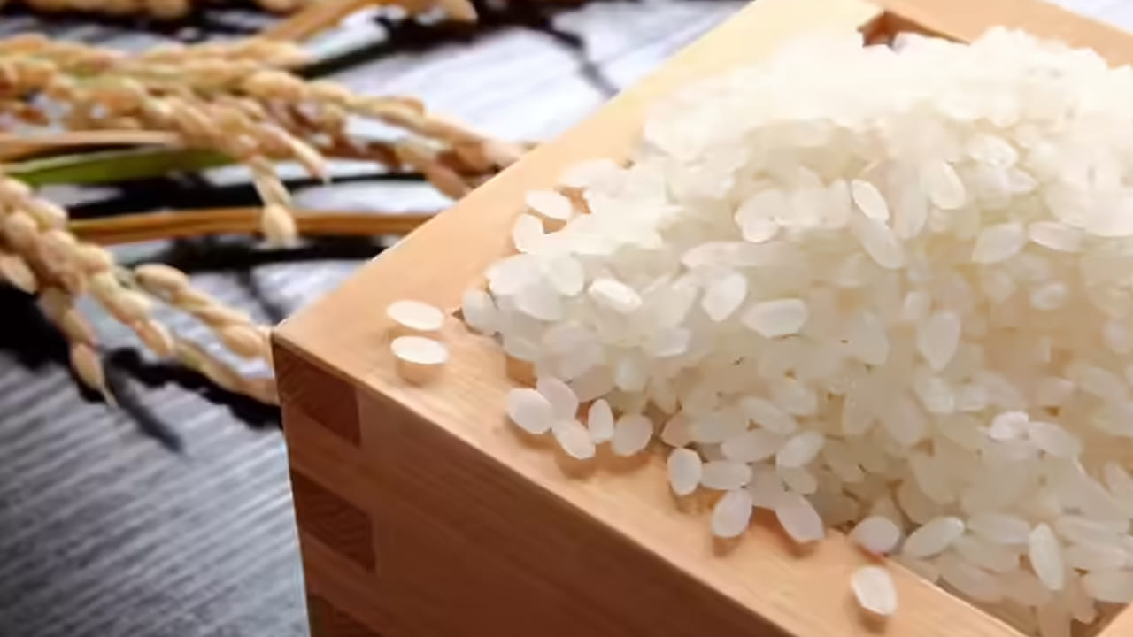 Rice: ప్రపంచ కుబేరుల రైస్ ఇది.. 25 కేజీల బస్తా కొనాలంటే ఆస్తులు ...