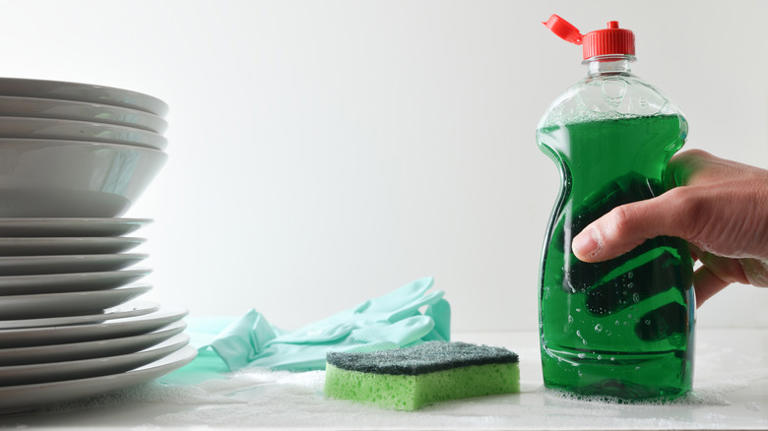 Is dish soap the secret fix to affordable pest control? Here's the truth