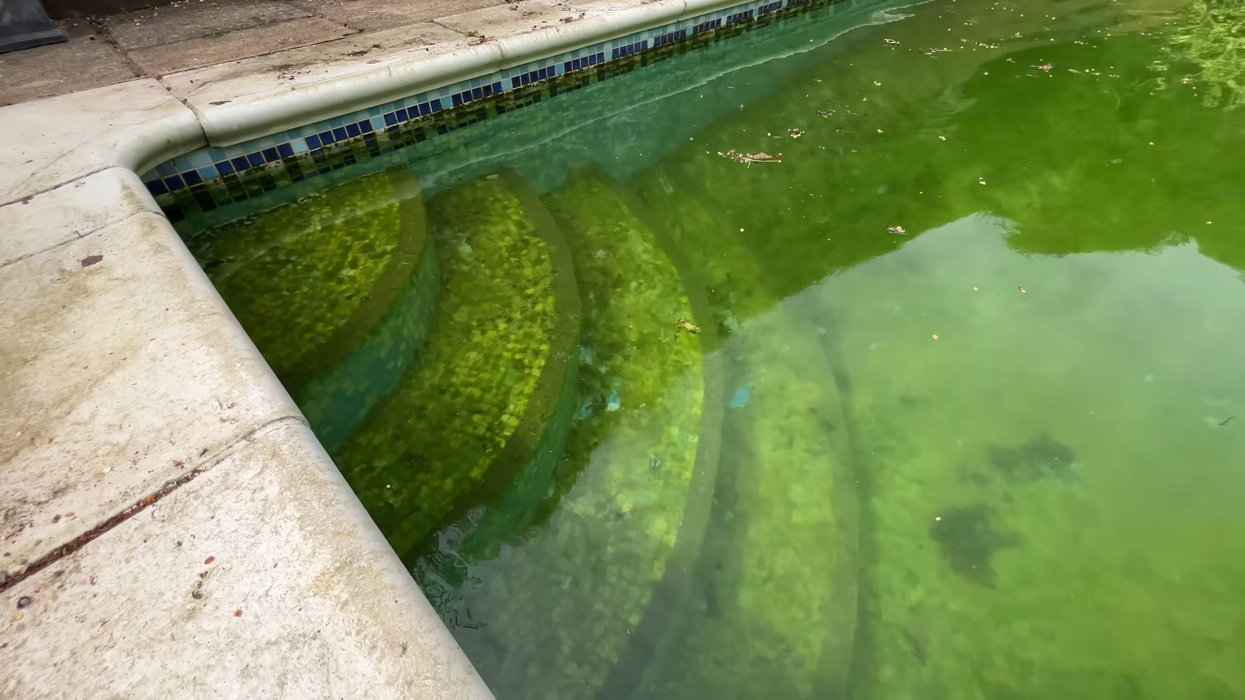 How I turned a green pool into a clean pool again