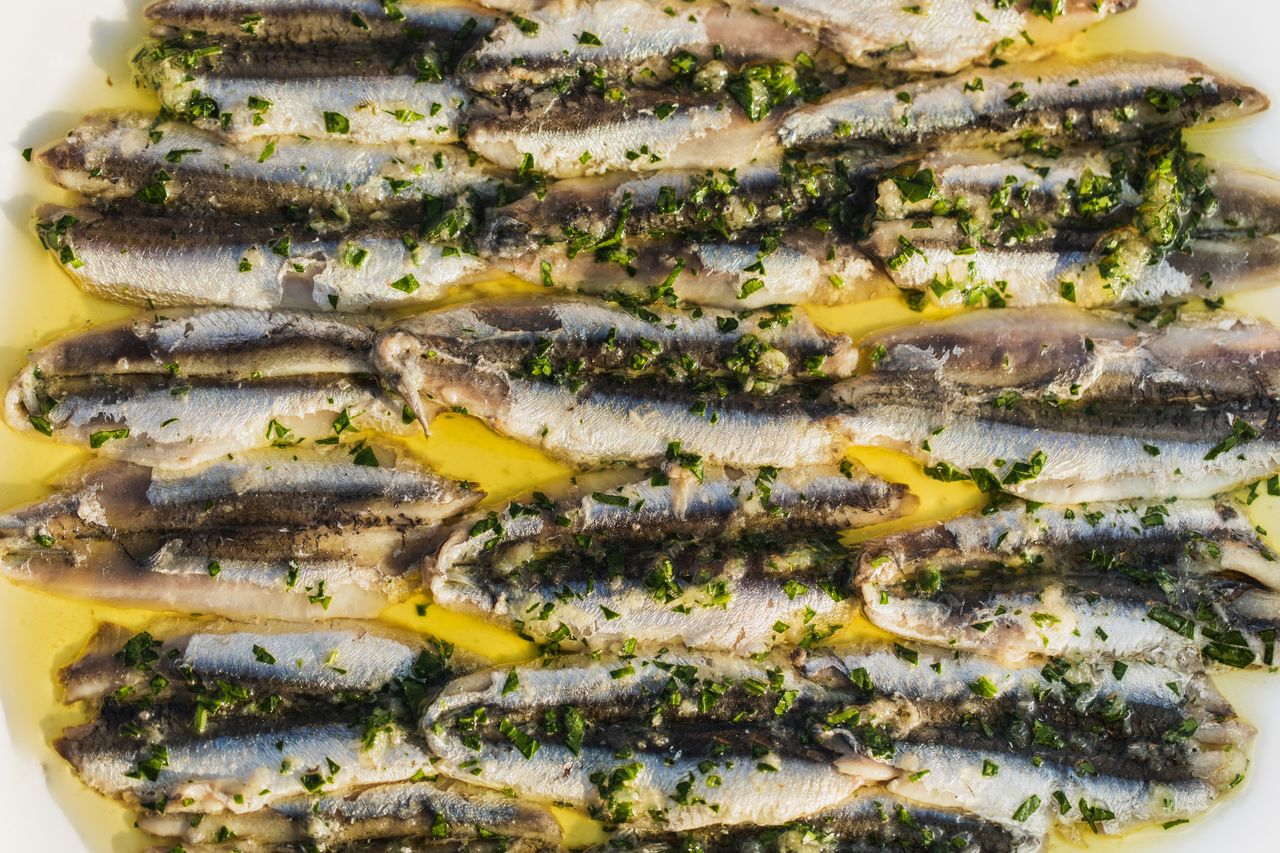 Plated marinated anchovies garnished with herbs and olive oil