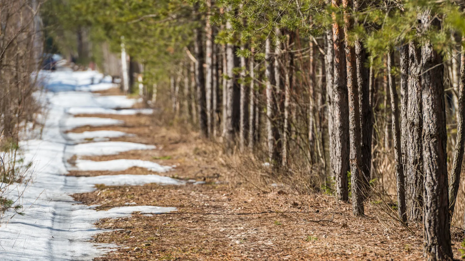The West faces water worries after a record snow drought