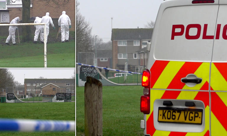 Teens as young as 14 among seven arrested after man, 20s, was stabbed ...