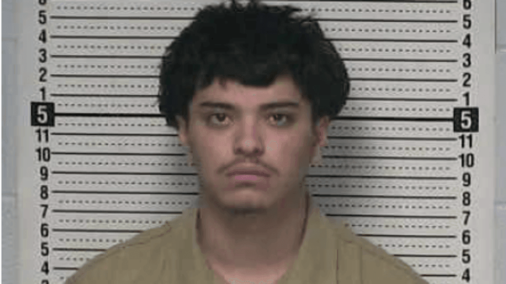 Opening statements begin in Nathan Rivas trial over Young Park shooting ...