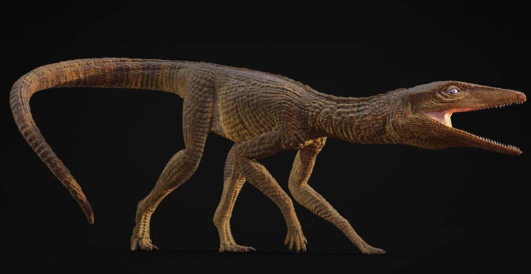 Scientists just discovered a new ancient crocodile hiding in plain ...