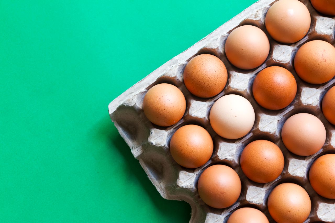 Grocery eggs in cardboard carton on teal background