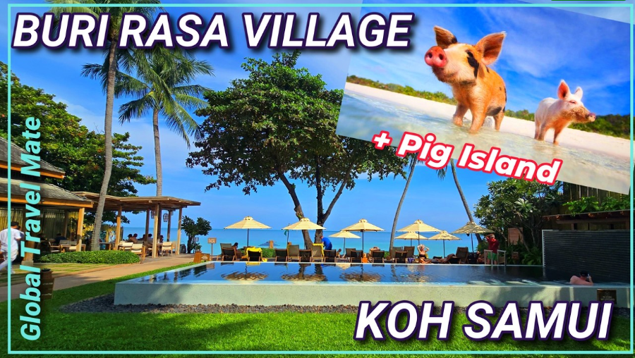 Your ultimate guide to Koh Samui Buri Rasa Village and Pig Island adventure