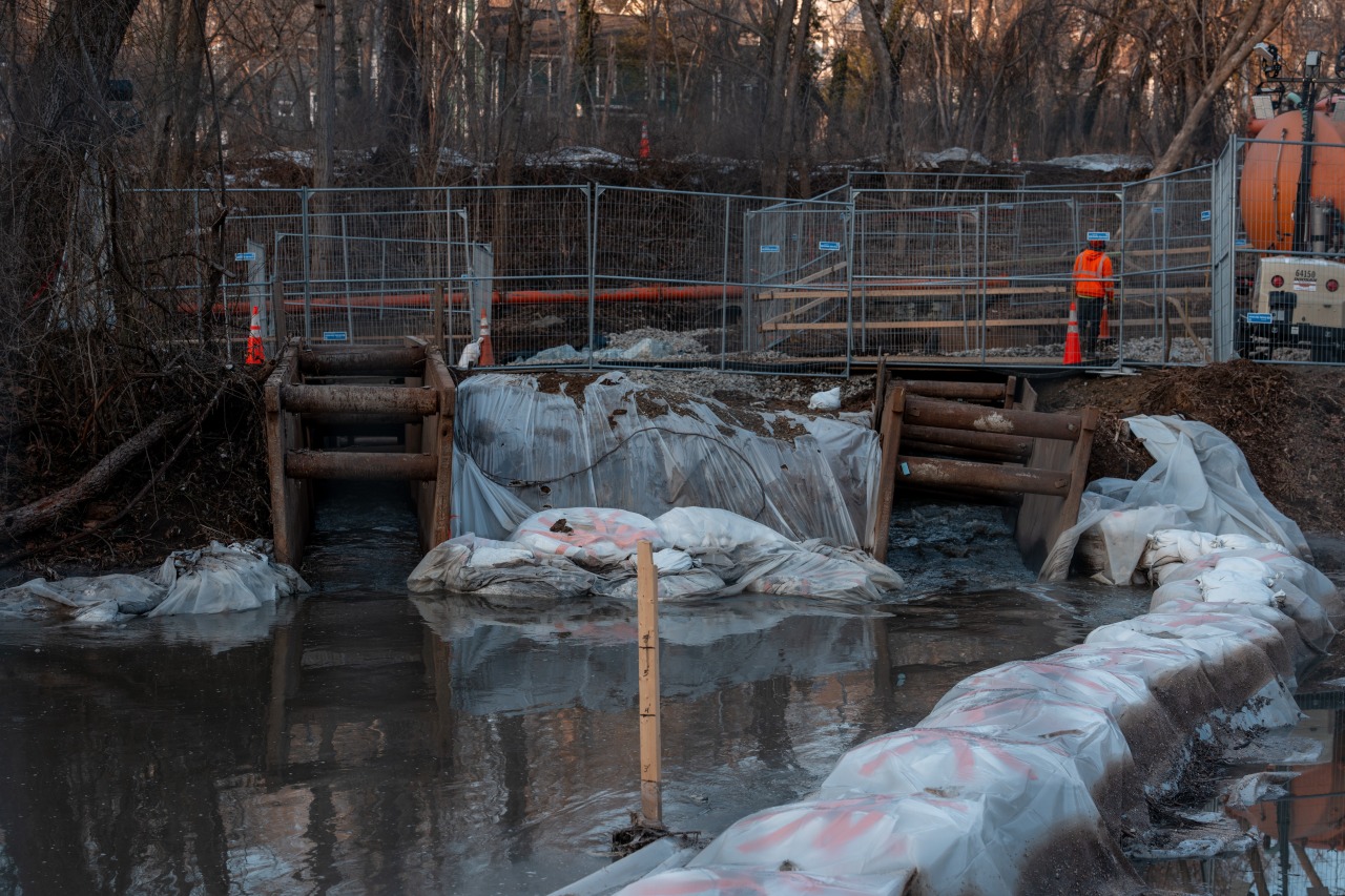 Washington’s 'unstoppable geyser of poop' triggers a new political ...