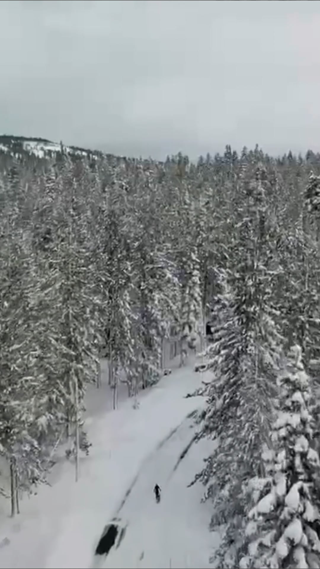 Avalancha en California: encuentran muertos a 8 esquiadores en ...