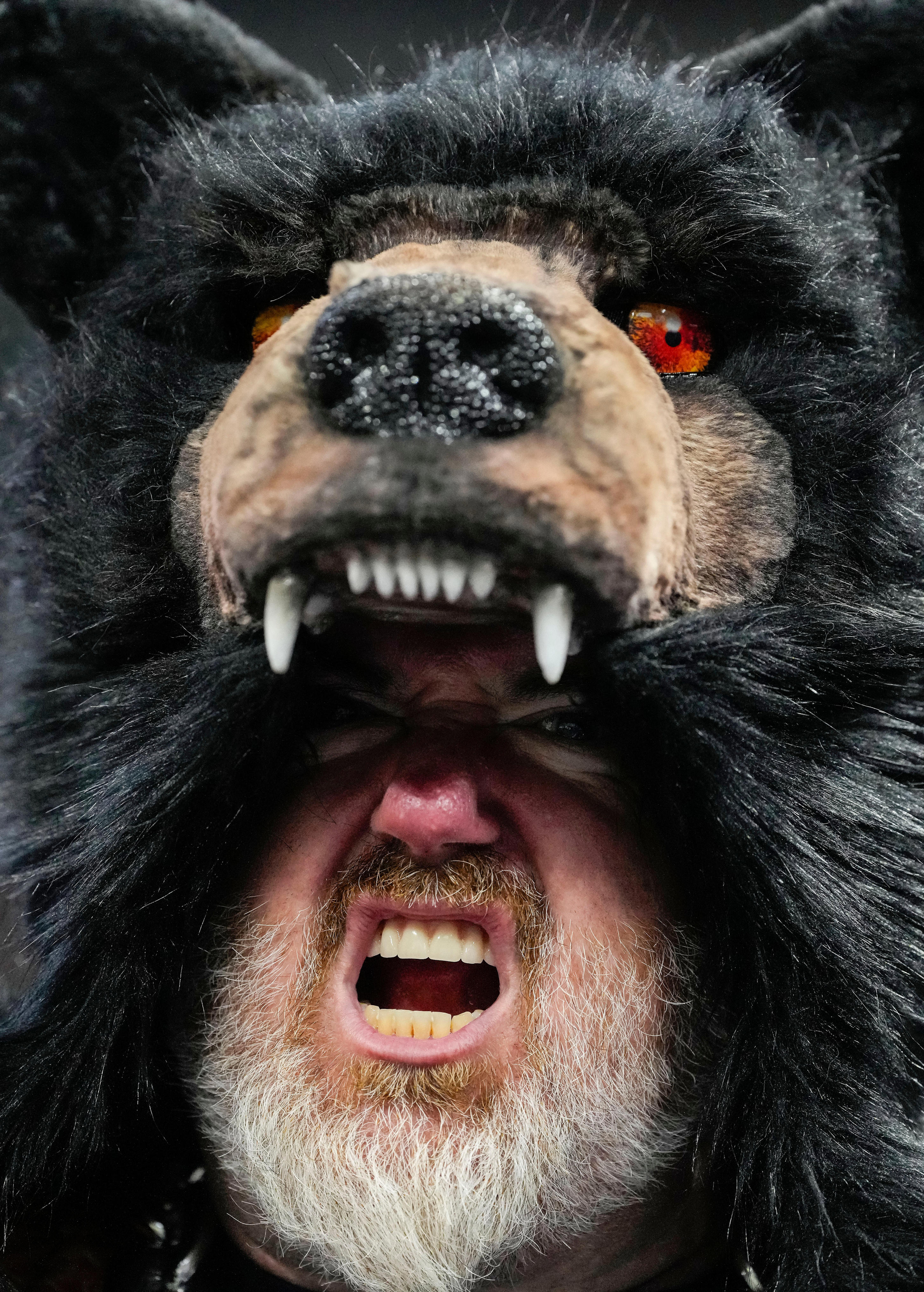 Chicago Bears fans, politicians react: 'I refuse to believe this'