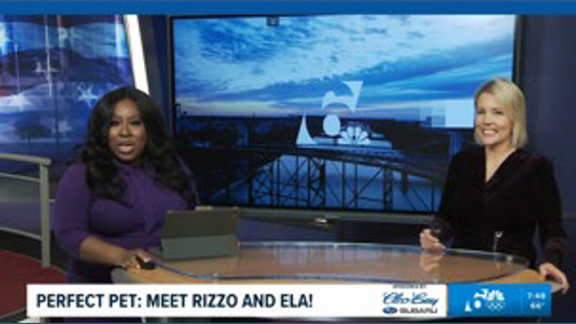 Perfect pet: Meet Rizzo and Ela!