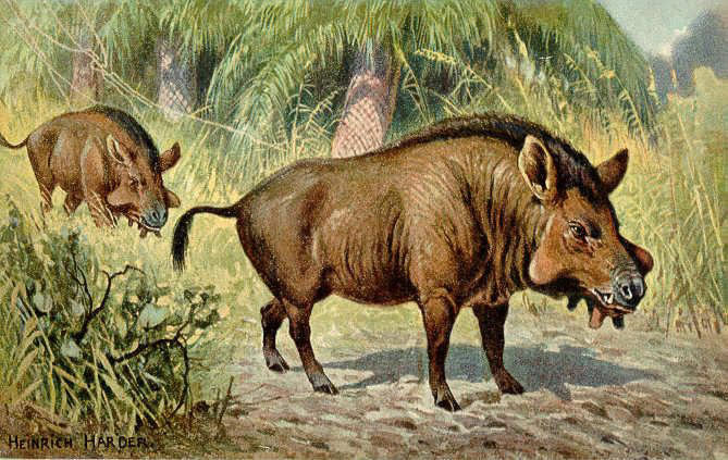 This giant carnivore ran on hooves. Scientists are investigating its ...