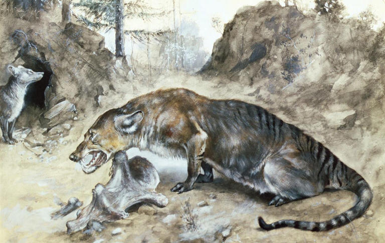This giant carnivore ran on hooves. Scientists are investigating its ...